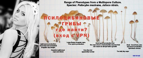 герыч Михайловка